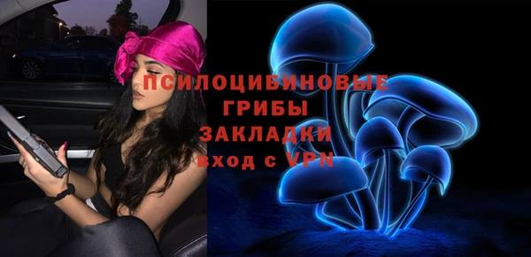 каннабис Аркадак