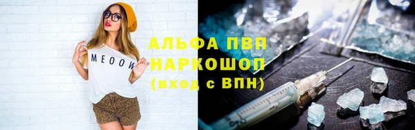 стафф Арсеньев