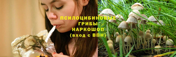 стафф Арсеньев