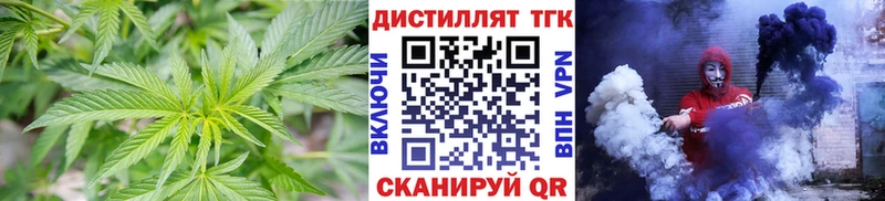OMG ССЫЛКА  Саров  Дистиллят ТГК концентрат 